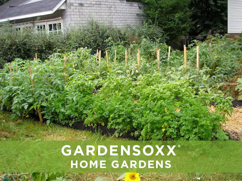 Filtrexx GardenSoxx, GardenSoxx Gallery, GardenSoxx in Use