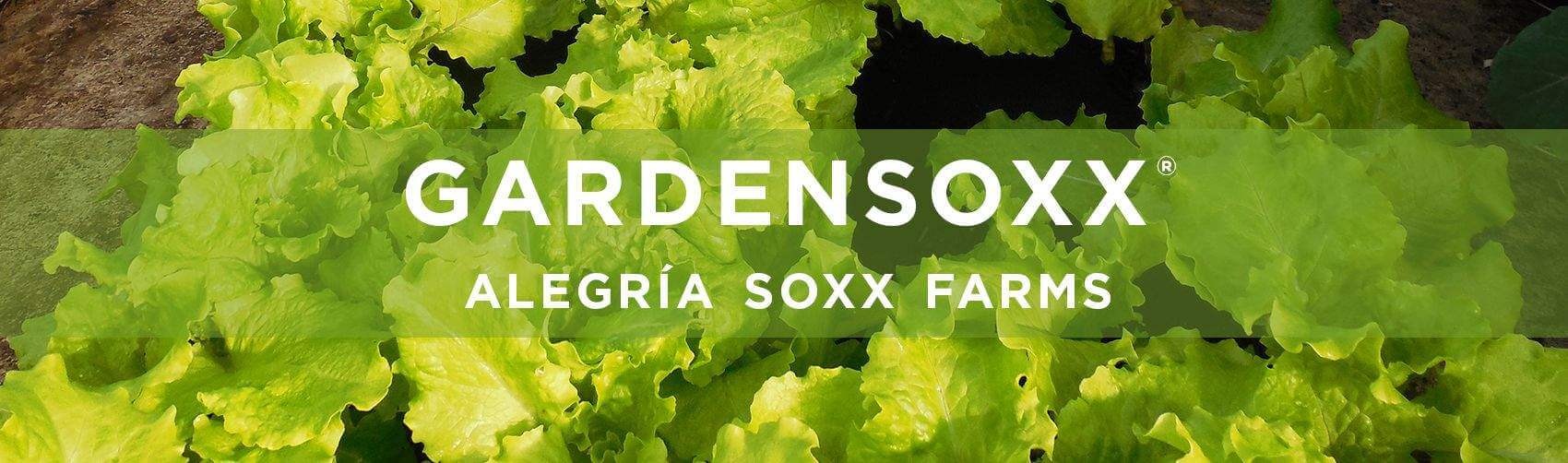 Filtrexx GardenSoxx, Versatile Container Gardening with GardenSoxx