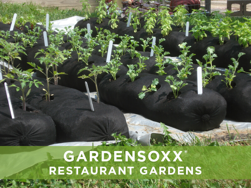 Filtrexx GardenSoxx, GardenSoxx Gallery, GardenSoxx in Use