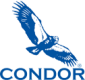 Condor Earth Technologies Condor Earth Technologies