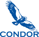 Condor Earth Logo Condor Earth Logo