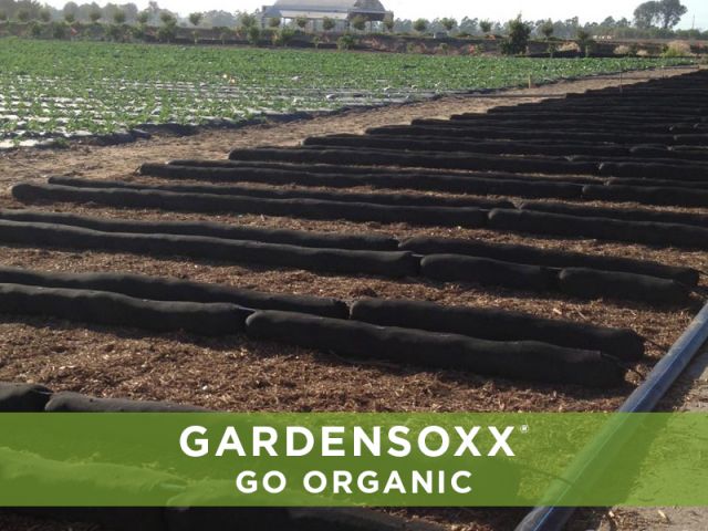 Go Organic Commercial Organic Farm