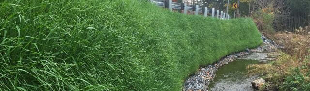 Filtrexx GreenLoxx Vegetated Wall and Slope Systems Filtrexx GreenLoxx Vegetated Wall and Slope Systems