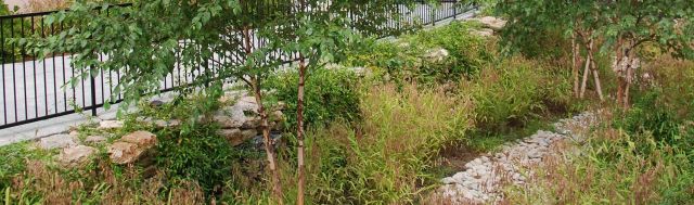 Filtrexx Stormwater Management Filtrexx Stormwater Management