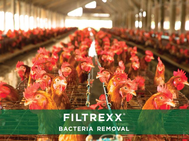 Filtrexx EnviroSoxx Bacteria Removal Filtrexx EnviroSoxx Bacteria Removal