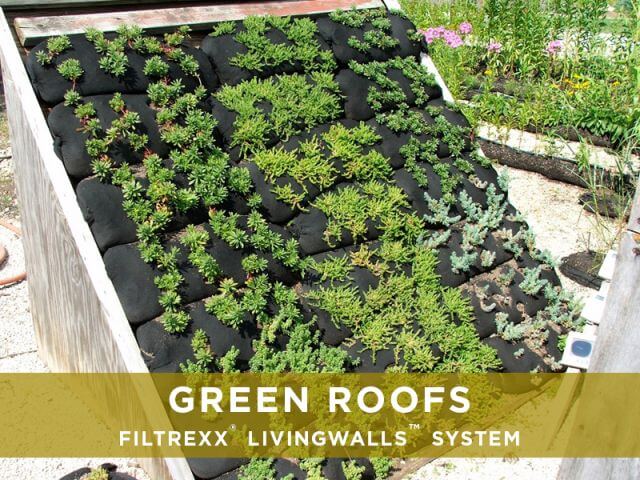 Filtrexx Green Roofs